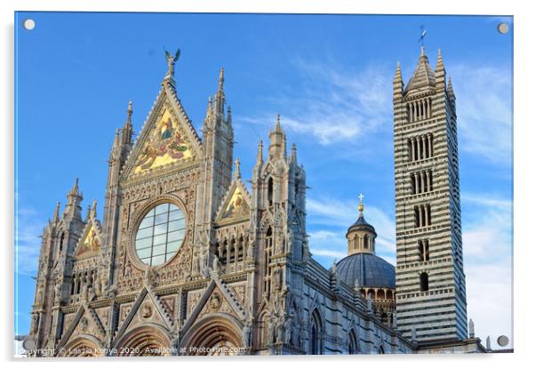 Duomo - Siena Acrylic by Laszlo Konya