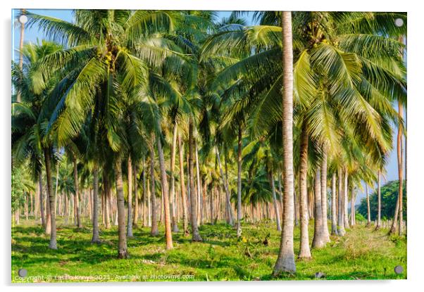 Coconut palm trees - Espiritu Santo Acrylic by Laszlo Konya