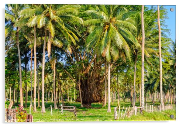 Banyan trees - Espiritu Santo Acrylic by Laszlo Konya
