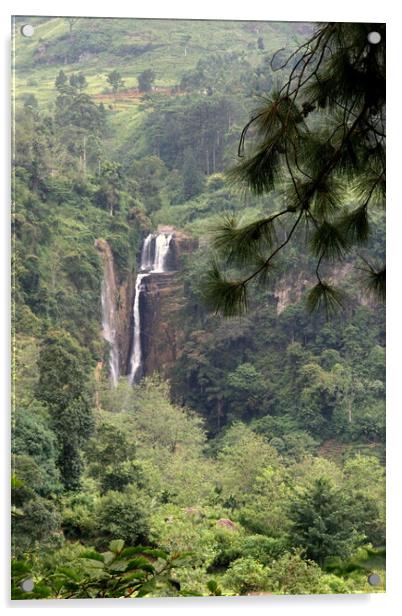 Rain forest waterfall Sri Lanka Acrylic by Ian Turnell