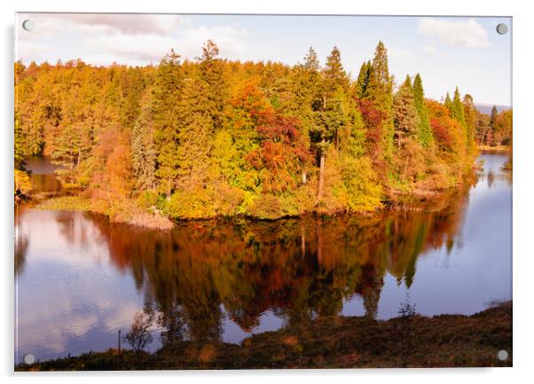 Tarn Hows Autumn Acrylic by Cliff Kinch