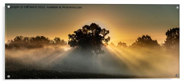 Majestic Sunrise Acrylic by Cliff Kinch
