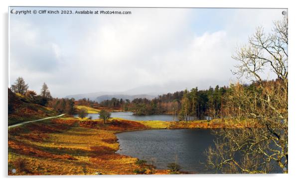 Tarn Hows Autumn Acrylic by Cliff Kinch