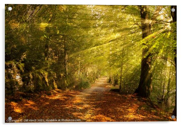 Sunrays on an autumn path Acrylic by Cliff Kinch