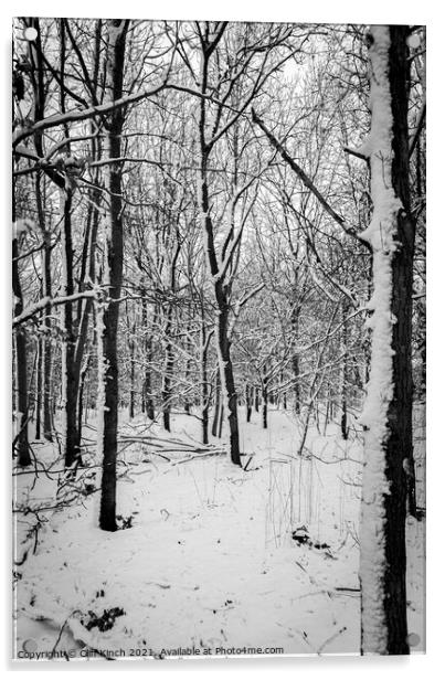 Monochrome forest Acrylic by Cliff Kinch