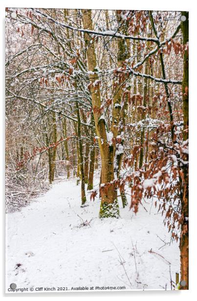 Snowy woodland path Acrylic by Cliff Kinch