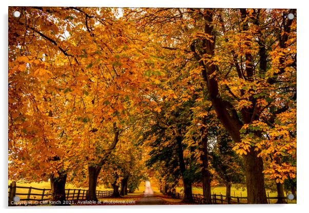 Autumn Canopy Acrylic by Cliff Kinch