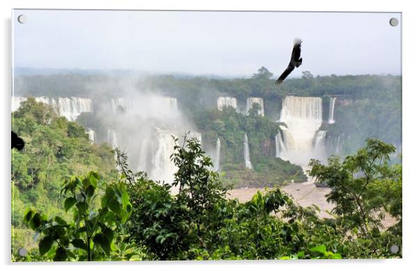 Iguazu  Falls - Brazil  Acrylic by Mervyn Tyndall