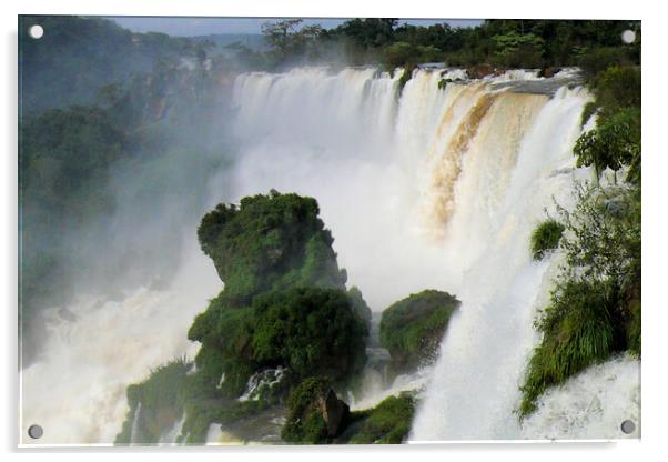 Iguazu Falls Acrylic by Mervyn Tyndall