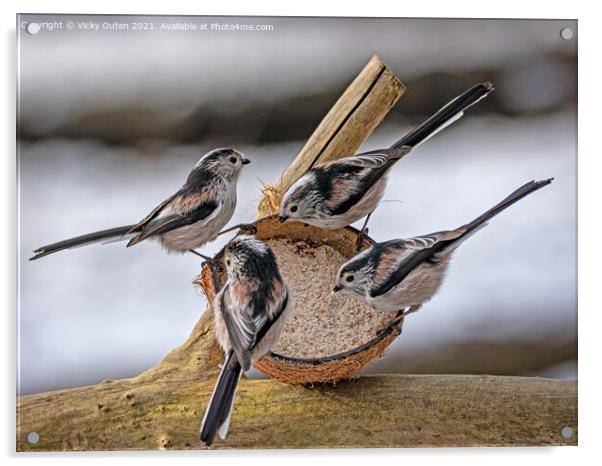 Long tailed tit's on a coconut  Acrylic by Vicky Outen
