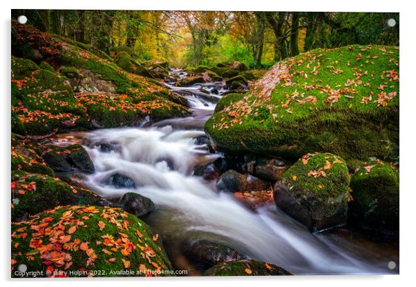 Autumn colours on the River Avon, Dartmoor Acrylic by Gary Holpin