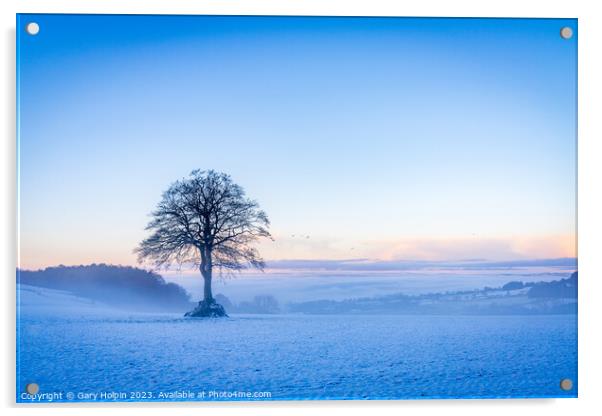 Winter tree Acrylic by Gary Holpin