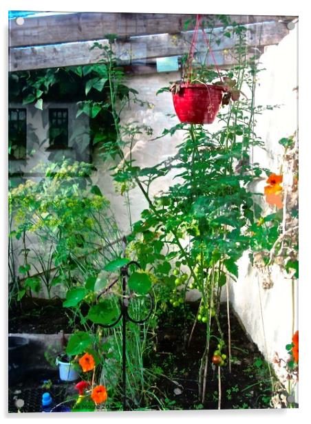 Hanging plants Acrylic by Stephanie Moore