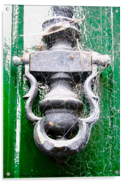Cobwebby Door knocker Acrylic by Stephanie Moore