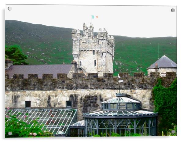 Glenveagh Castle and greenhouses Acrylic by Stephanie Moore