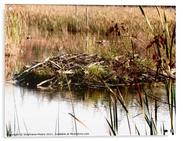 Beaver Lodge Acrylic by Stephanie Moore