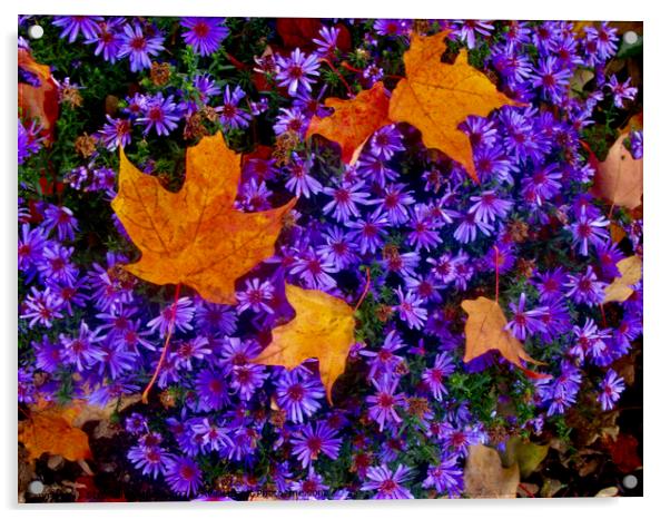 Purple flowers with maple leaves Acrylic by Stephanie Moore