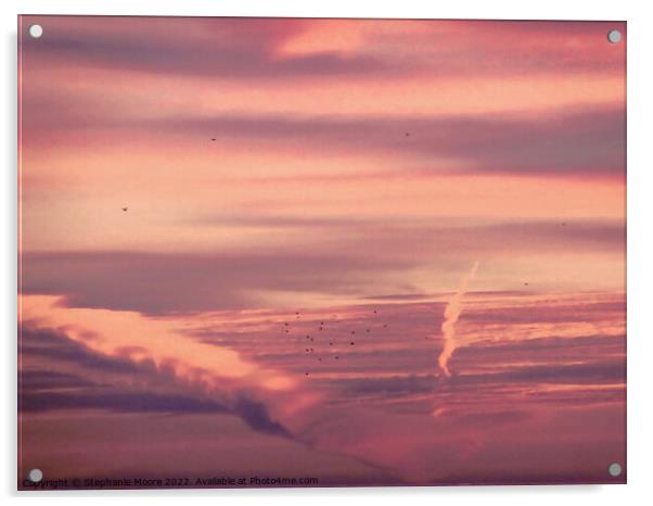 Sunrise with birds Acrylic by Stephanie Moore