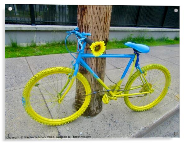 The Ukrainian Bicycle Acrylic by Stephanie Moore
