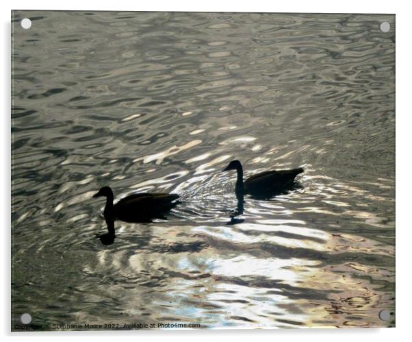 Geese in the Rideau River Acrylic by Stephanie Moore