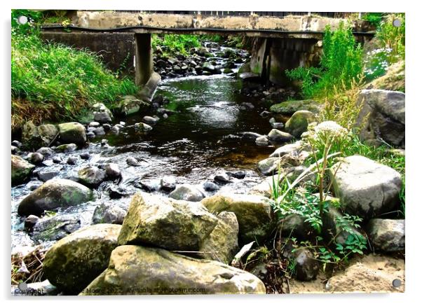 Stream at Downhill, Derry Acrylic by Stephanie Moore