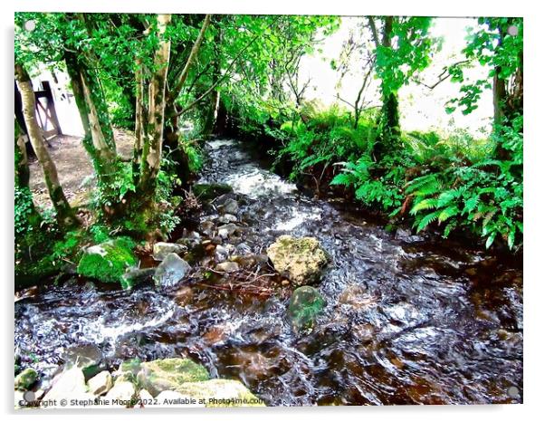 Another stream at Glencar Acrylic by Stephanie Moore