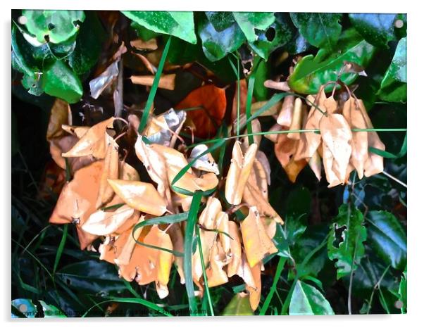 Dead leaves Acrylic by Stephanie Moore