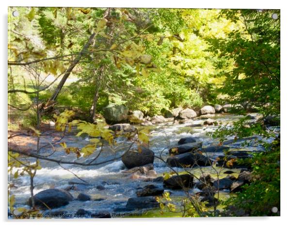 Rushing River Acrylic by Stephanie Moore