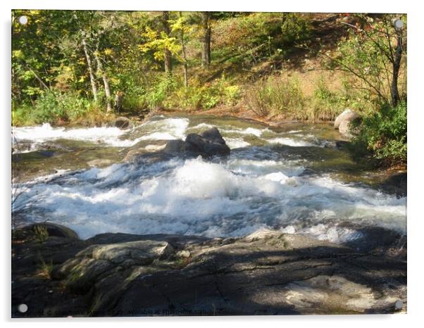 Rapids Acrylic by Stephanie Moore