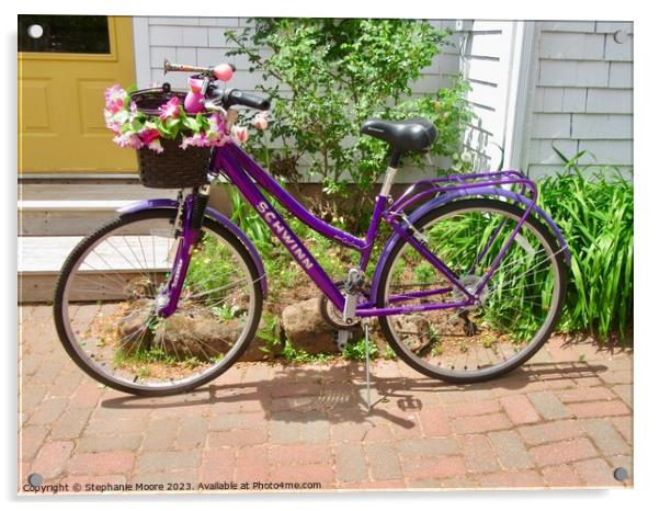 Purple Bicycle Acrylic by Stephanie Moore