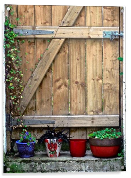 Wooden gate with plants Acrylic by Stephanie Moore