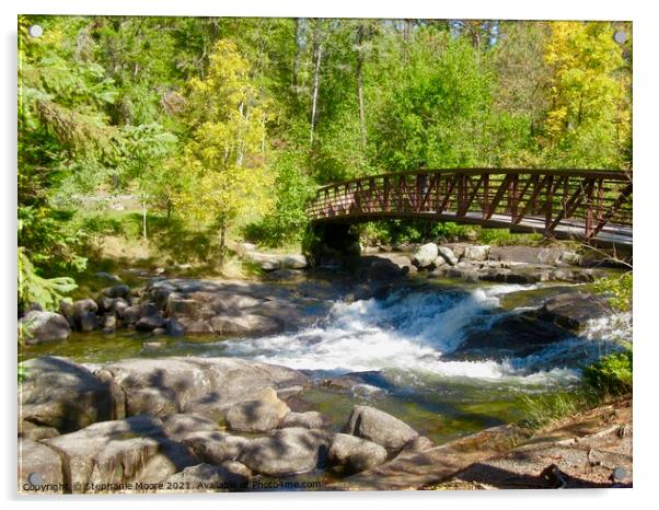 Foot Bridge Acrylic by Stephanie Moore