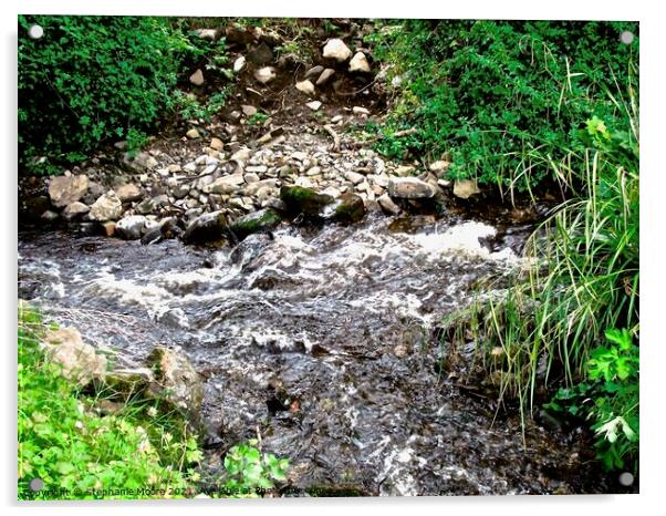 Stream  Acrylic by Stephanie Moore