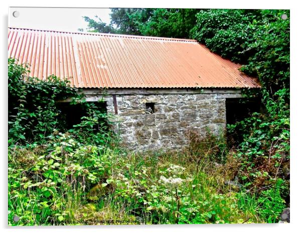 Abandoned barn Acrylic by Stephanie Moore