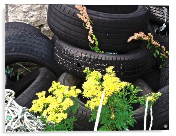 Tires, ropes and flowers Acrylic by Stephanie Moore