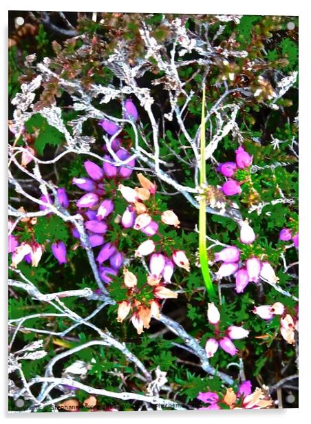 Heather Acrylic by Stephanie Moore