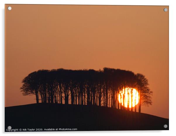 Sun setting behind the 'nearly home' trees, Devon, UK Acrylic by Nik Taylor
