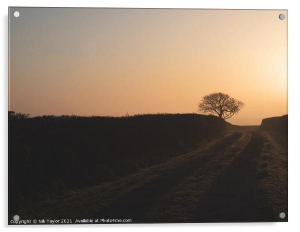 Farm track at sunrise Acrylic by Nik Taylor