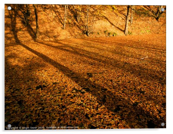 Lake of Autumn Leaves Acrylic by Engin Sezer