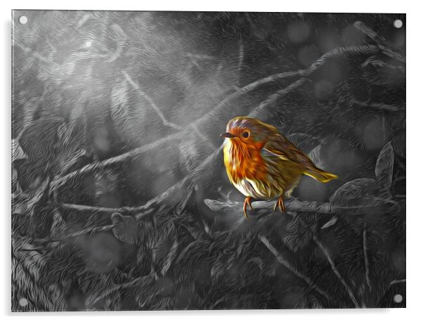 ROBIN SOAKING UP THE LIGHT Acrylic by LG Wall Art