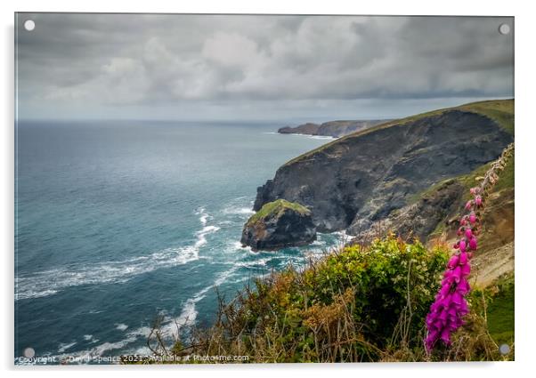 Cornish Coastline  Acrylic by David Spence