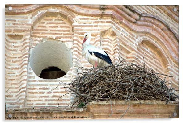 Nesting Stork  Acrylic by Alexandra Lavizzari