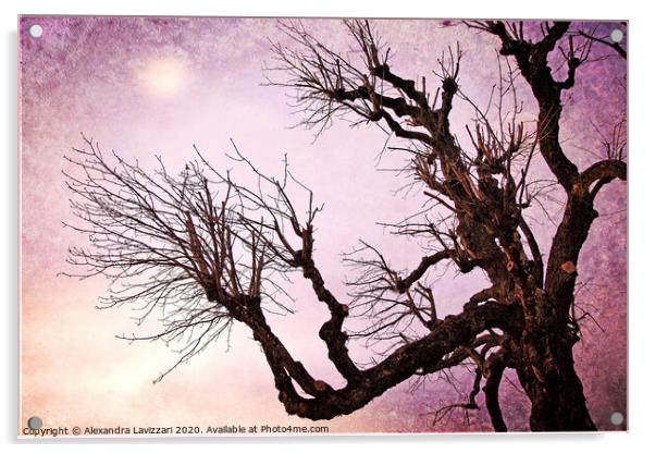 Reaching For The Moon Acrylic by Alexandra Lavizzari