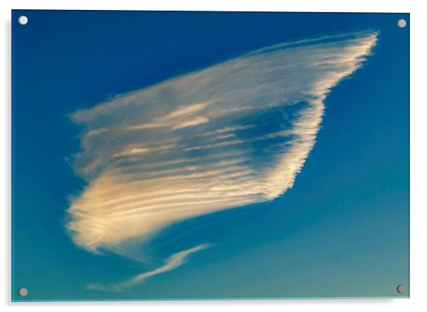 Cloud formation against a blue sky Acrylic by Rory Hailes