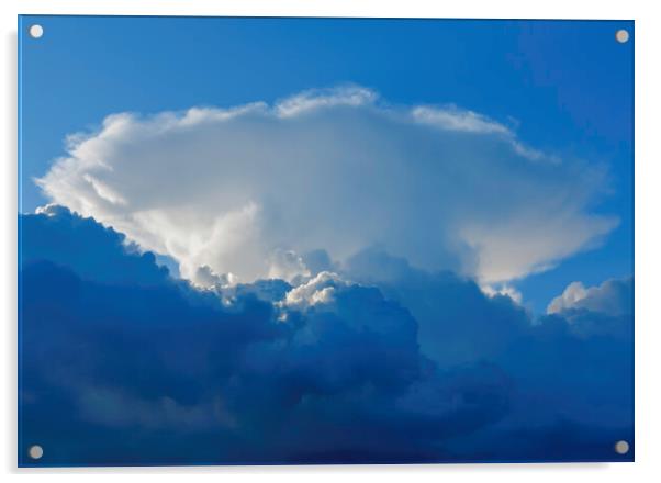 Large cumulus cloud against a blue sky Acrylic by Rory Hailes