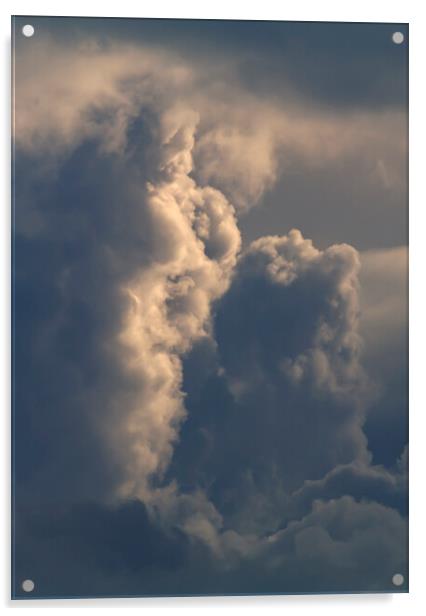 Cumulus cloud tower Acrylic by Rory Hailes