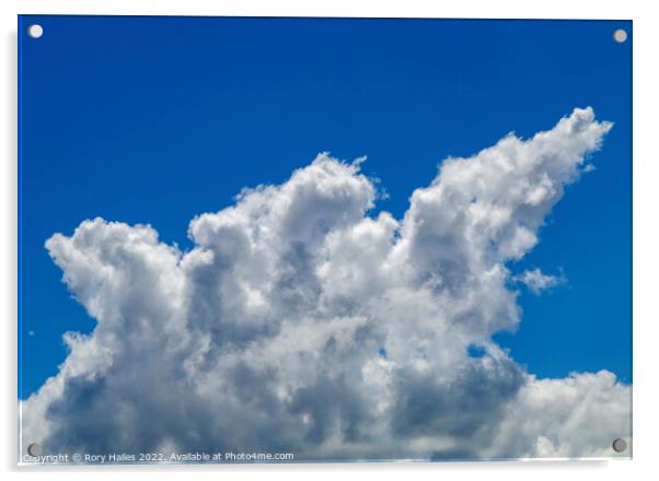 Cumulus clouds Acrylic by Rory Hailes