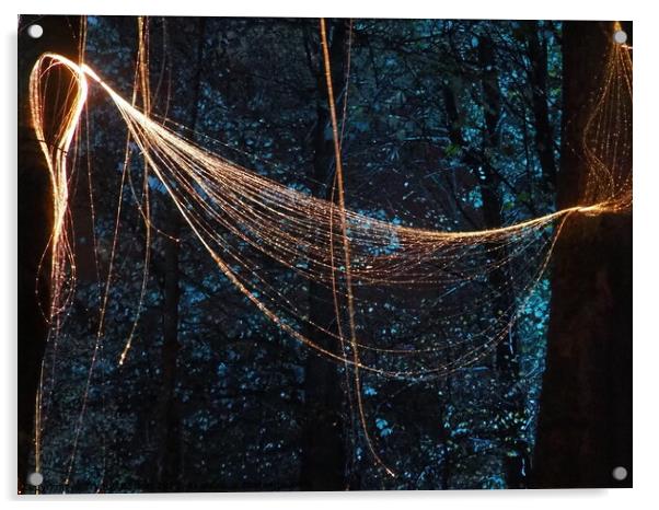 Illuminight Tree, Dean Castle Country Park, Scotland Acrylic by Wendy Burton