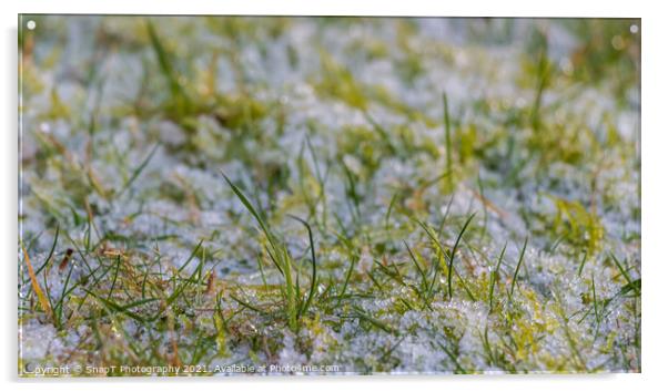 Close up of blades of grass covered in white frost in the winter sun Acrylic by SnapT Photography