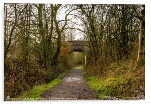 Trail through a broadleaf woodland in Scotland, with a bridge in the background Acrylic by SnapT Photography